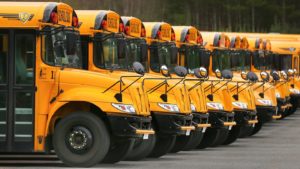 Row of yellow school buses lined up in a parking lot