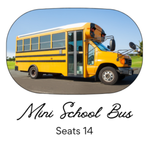 Mini-bus-111