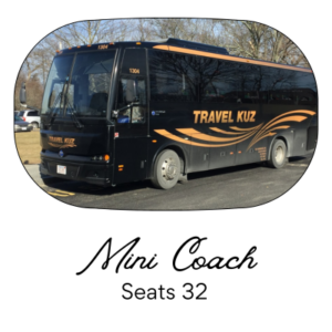 mini-coach-111